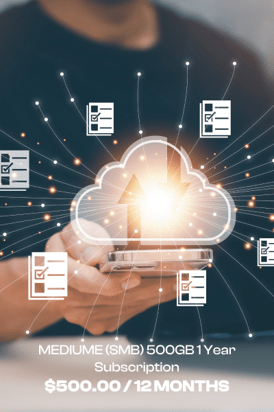 The Lifesaver in the Cloud: Exploring the Essence of Cloud Backup Services